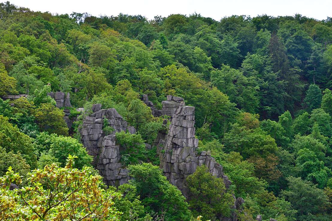 Naturmythenpfad Wald