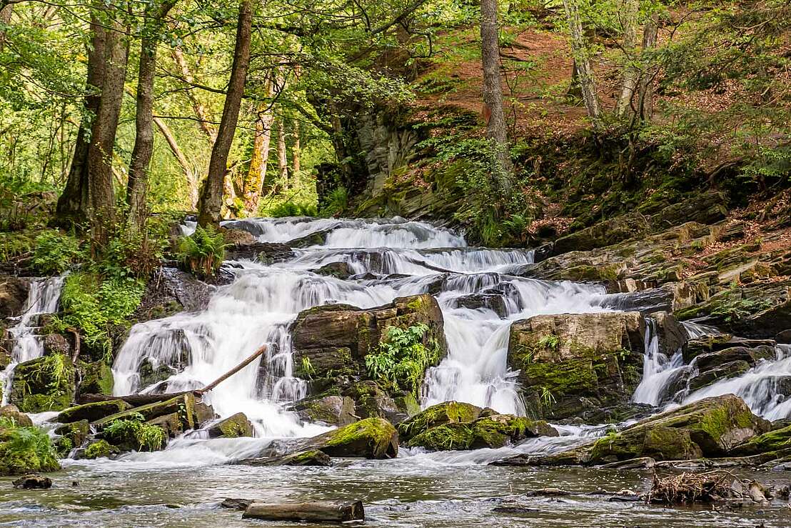 Wasserfall bei Alexisbad