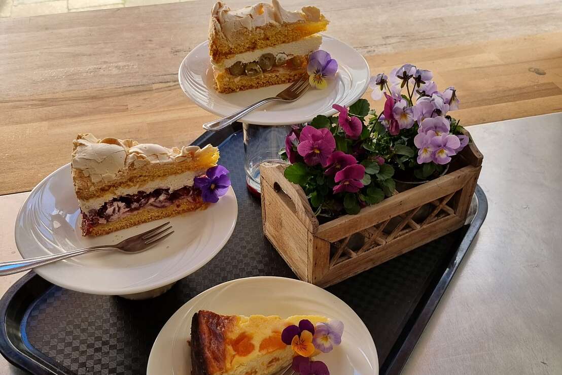 Kuchenauswahl im Waldcafé