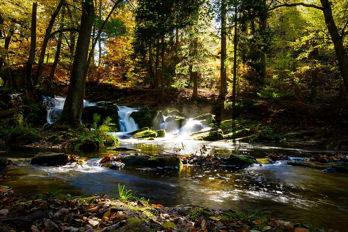 Waldidylle Selkefall