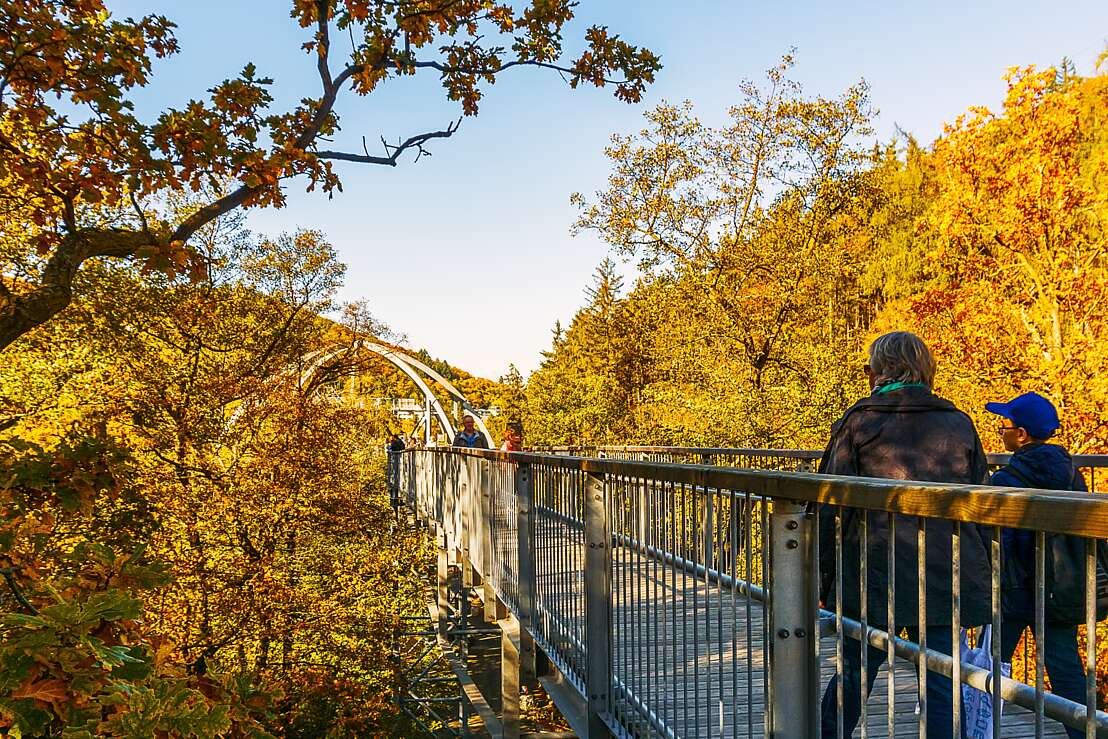 Herbst Baumwipfelpfad, F. Pönisch