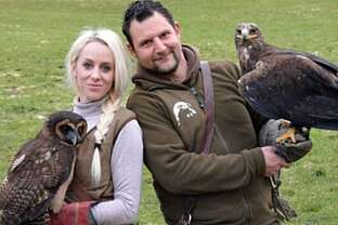 Harzfalkenhof Bad Sachsa