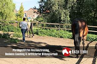 authentisches Auftreten - pferdegestützte Arbeit authentisches Auftreten - pferdegestützte Arbeit