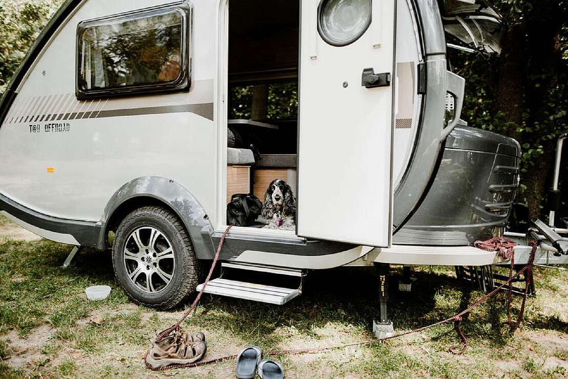 Urlaub mit Hund Urlaub mit Hund
