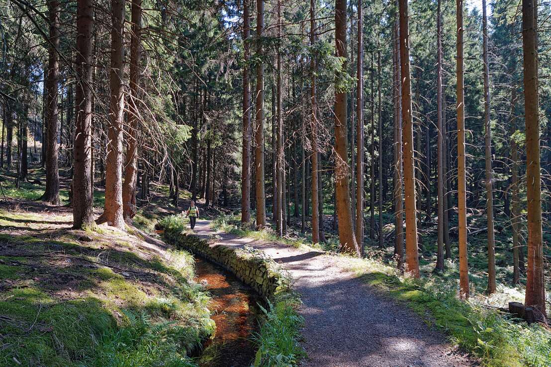 Wanderweg am Dammgraben