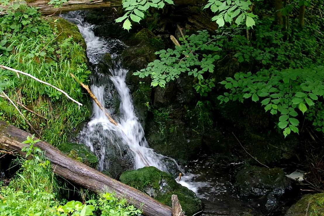 Kaskaden im Steinbach von Zorge