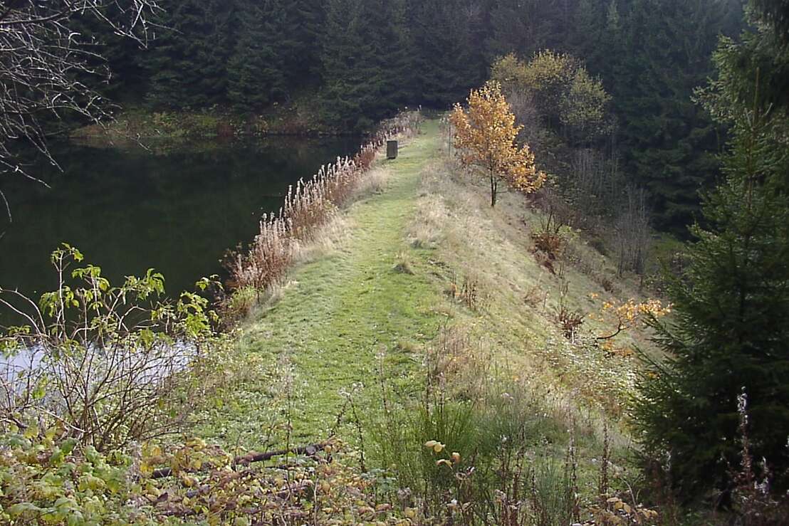 Der Damm des Klein-Clausthaler Teiches
