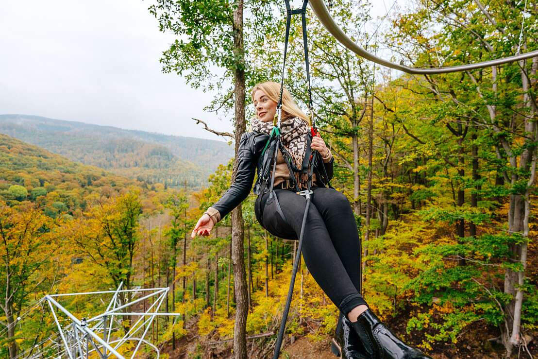 BaumSchwebebahn im Herbst, Nordstadtlicht