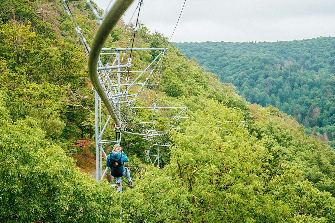 BaumSchwebeBahn Harz, Nordstadtlicht