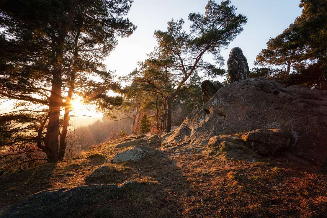 Abenddämmerung am Hamburger Wappen
