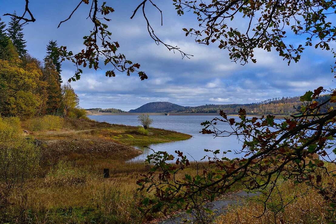 Blick über die Innerste-Talsperre