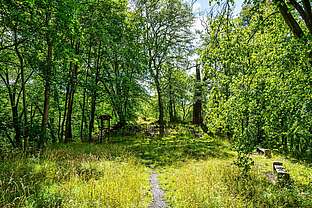 Auf den Ruinen der Treseburg