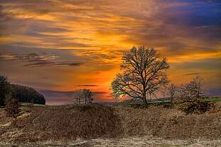 Am Bauerngraben bei Roßla in der Dämmerung