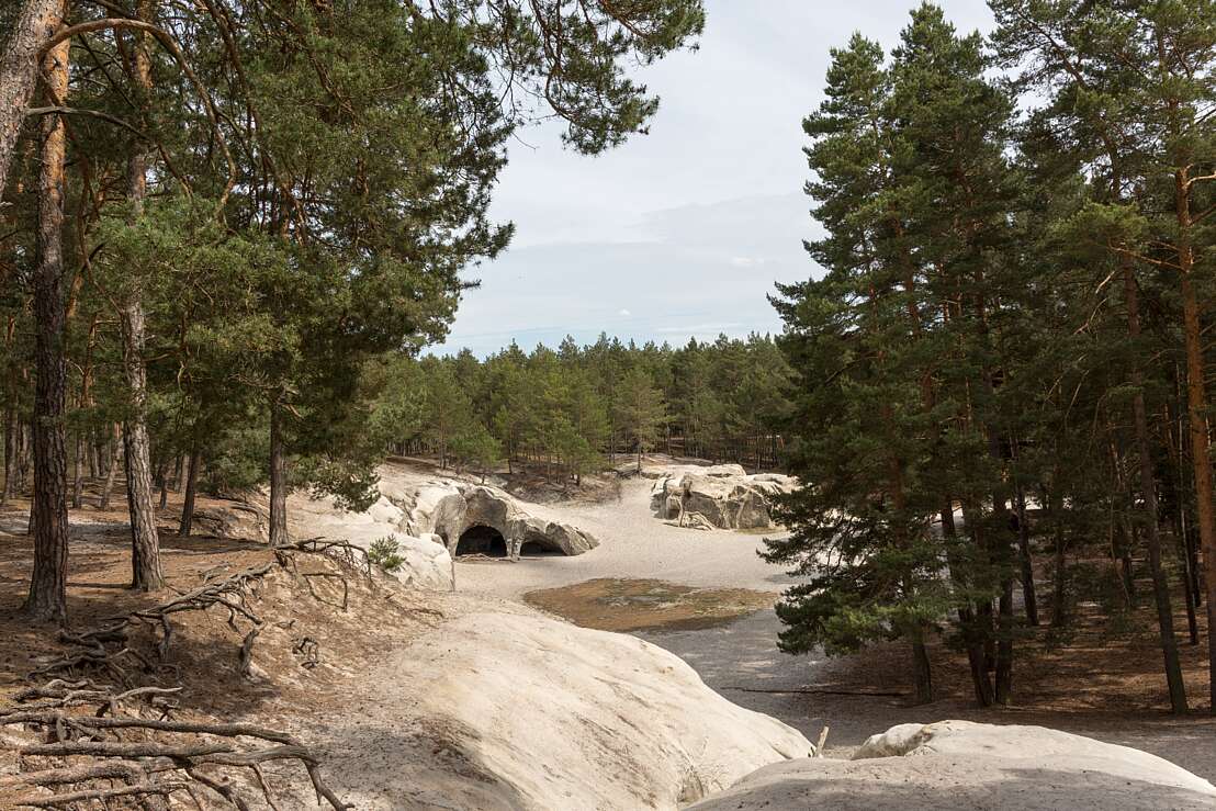 Sandsteinhöhlen im Kiefernwald