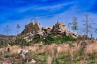 Granitfelsen der Mäuseklippe im Harz