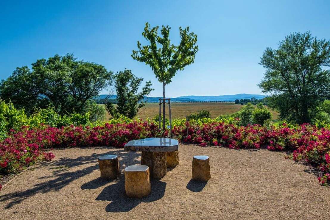 Genießen Sie den Brockenblick