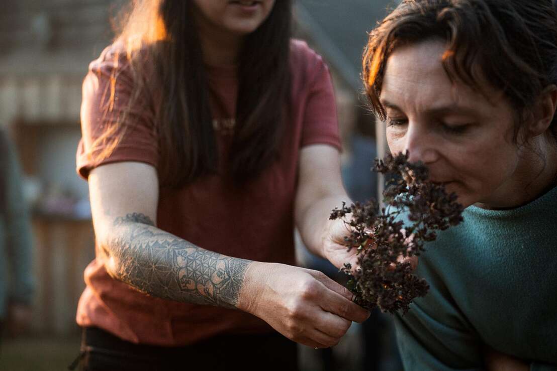 Essen - Heilen - Bewahren