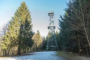 Poppenbergturm bei Ilfeld im Südharz