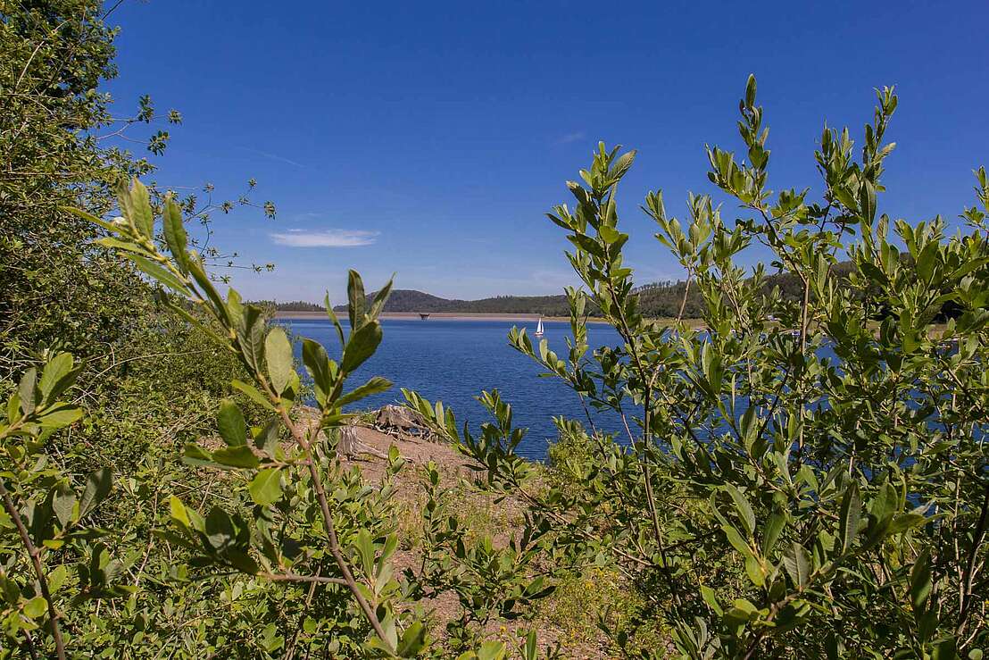 Am Ufer der Innerstetalsperre