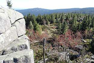 Auf den Zeterklippen