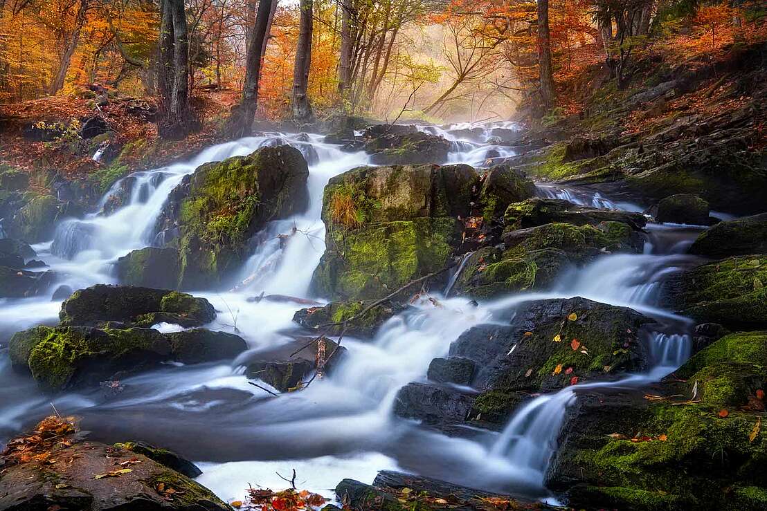 Selkefälle im Herbst