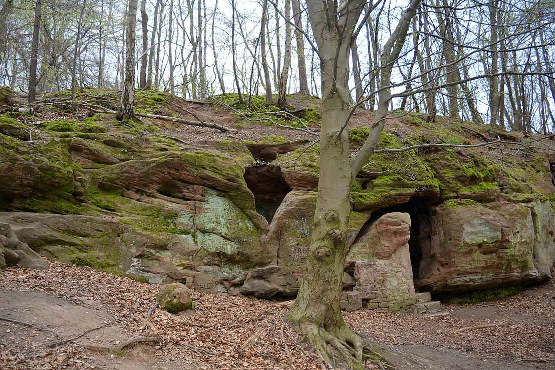 Eingang zur Daneilshöhle - © Ragnar1904 CC BY-SA 4.0 Deed