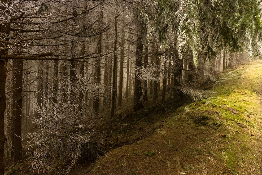 Besucherbergwerk Rammelsberg
