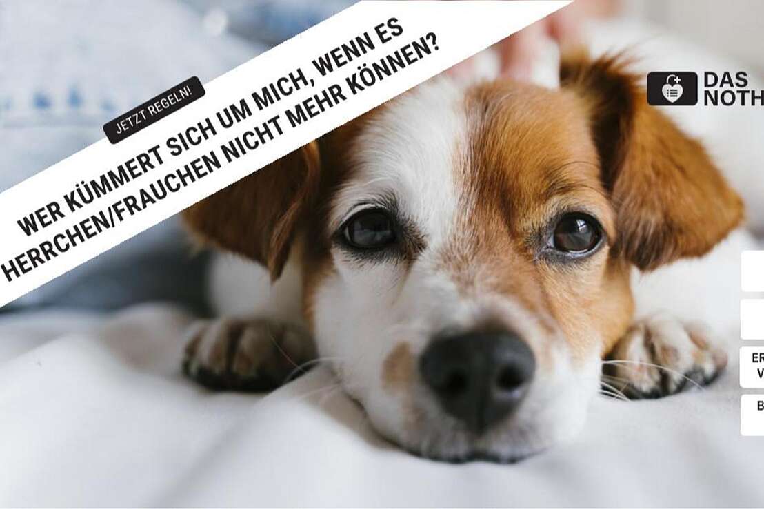 Das Nothilfesystem Das Nothilfesystem