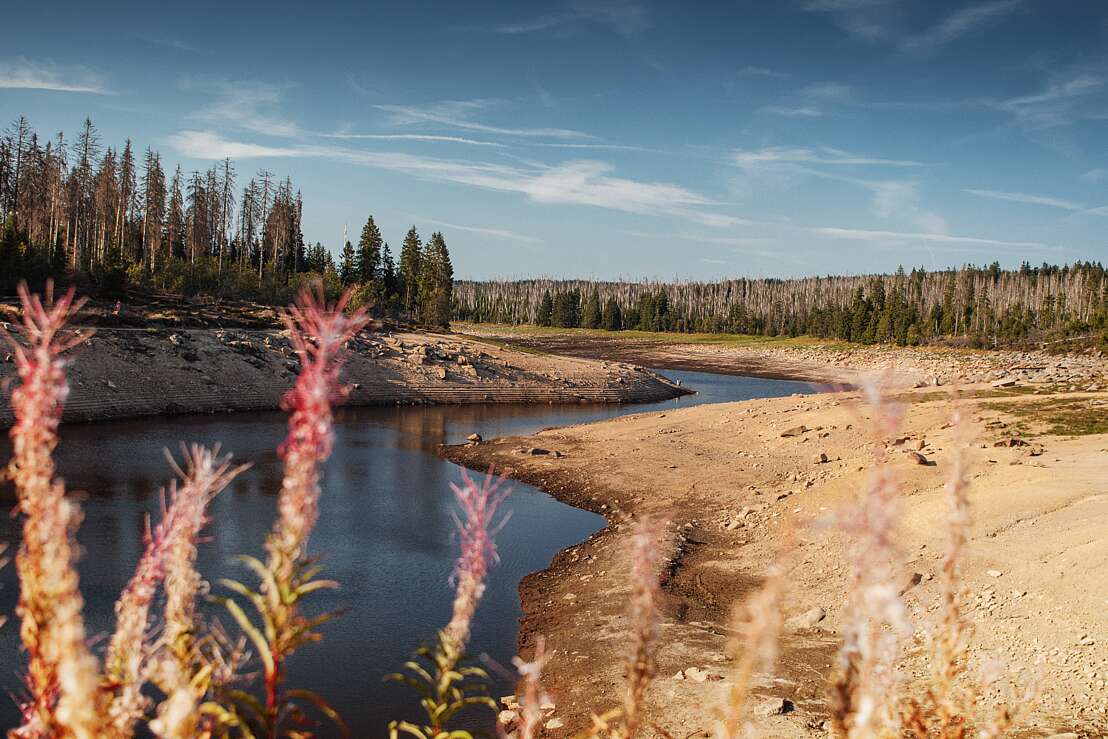 Niedrigwasser in der Odertalsperre