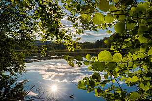 Der Itelteich am Karstwanderweg
