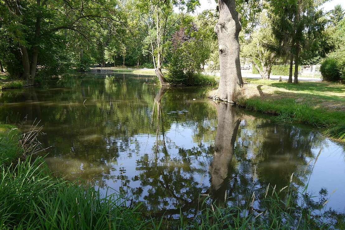 Teich im Park von Schloss Hessen