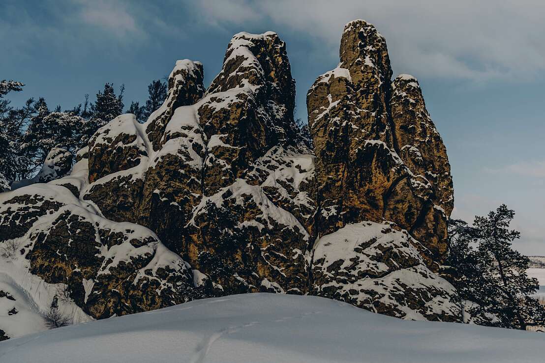 Hamburger Wappen im Winter