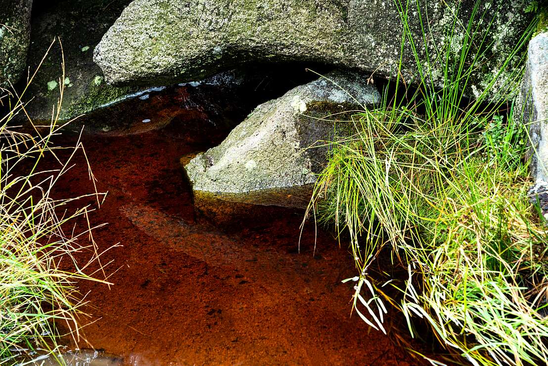 Abbegraben im Torfhausmoor