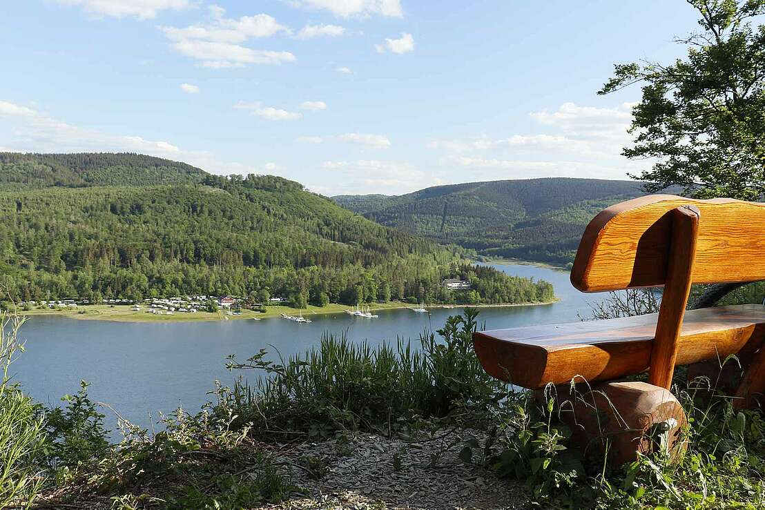 Aussichtspunkt am Innerstestausee