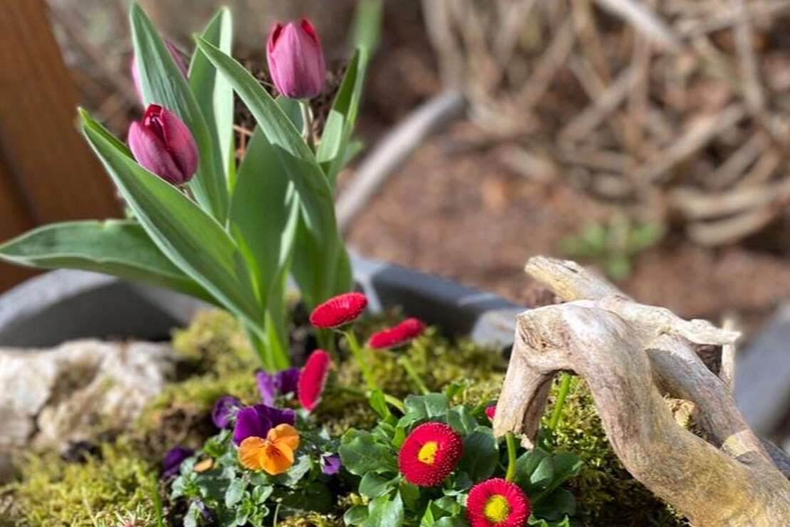 Tulpen Gesteck Tulpen Gesteck