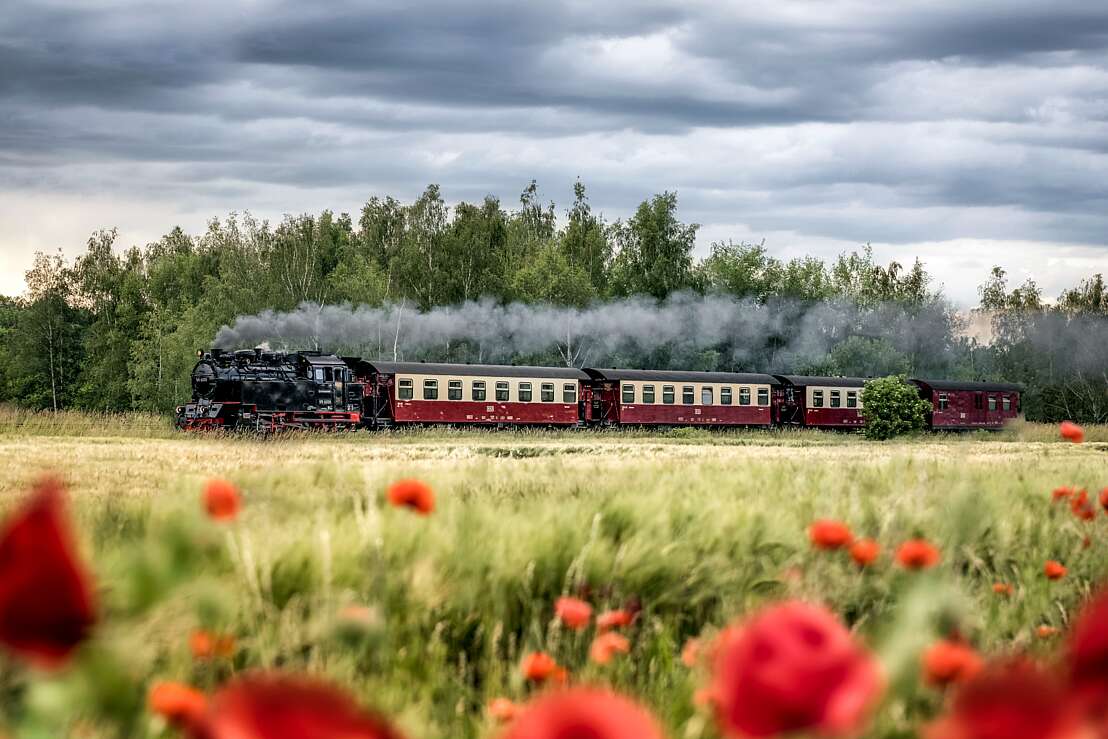 Dampfzug im Selketal