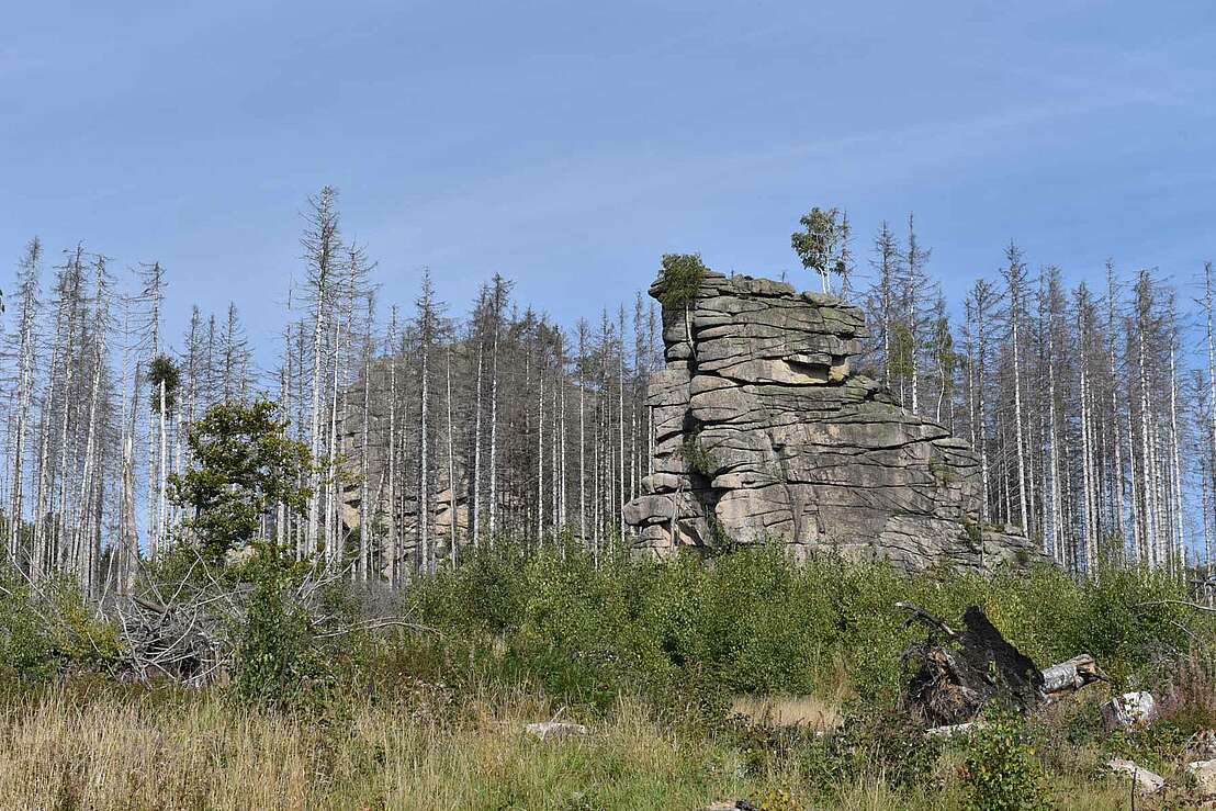 Feuersteinklippe bei Schierke