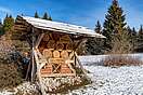 Insektenhotel am Wald bei Bad Grund