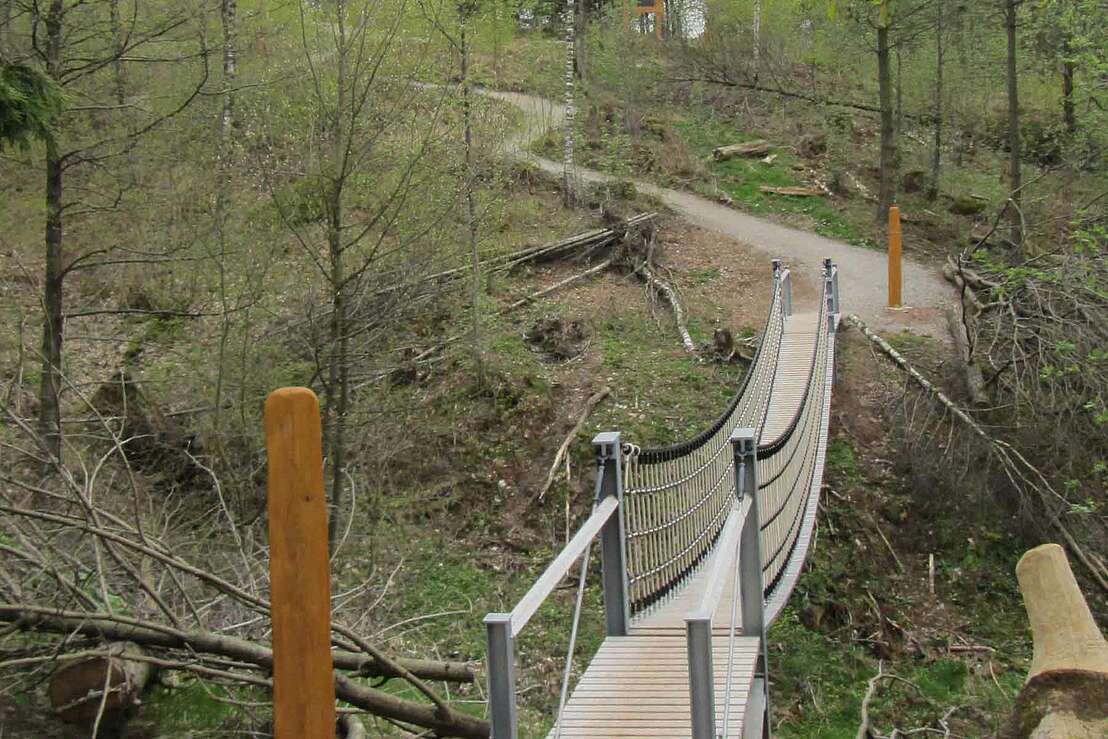 Hängebrücke im Weltwald © BRFBlake - CC BY-SA 4.0 Deed