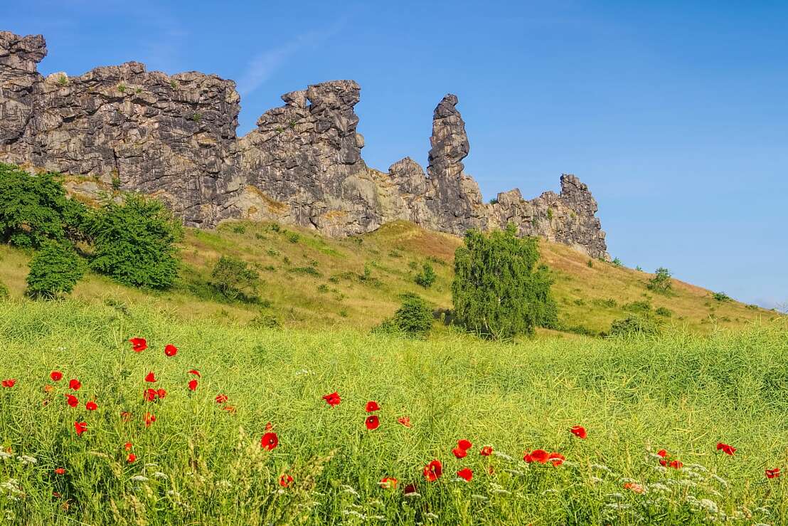 Teufelsmauer Timmenrode