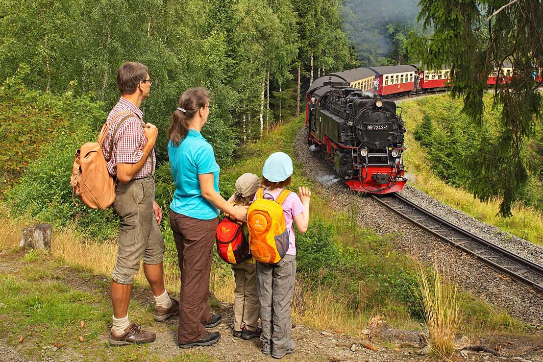 Dampfzug nach Drei Annen Hohne