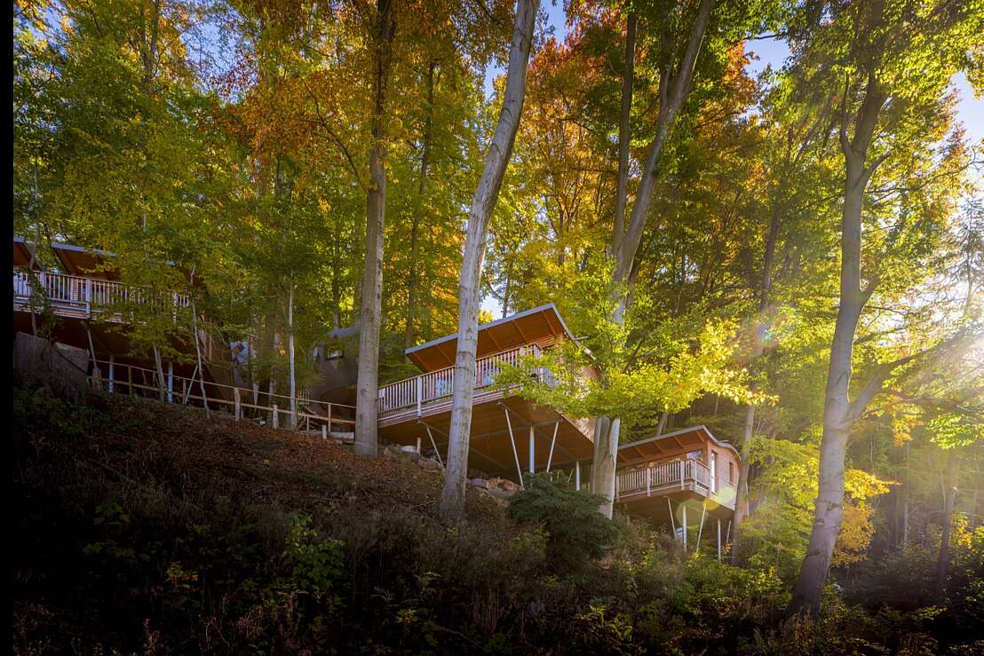 Baumhäuser Elvis und Elvis Junior