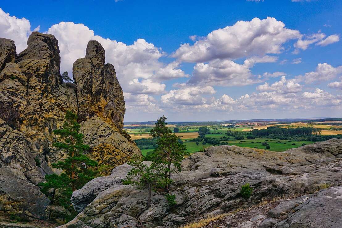 Hamburger Wappen Timmenrode