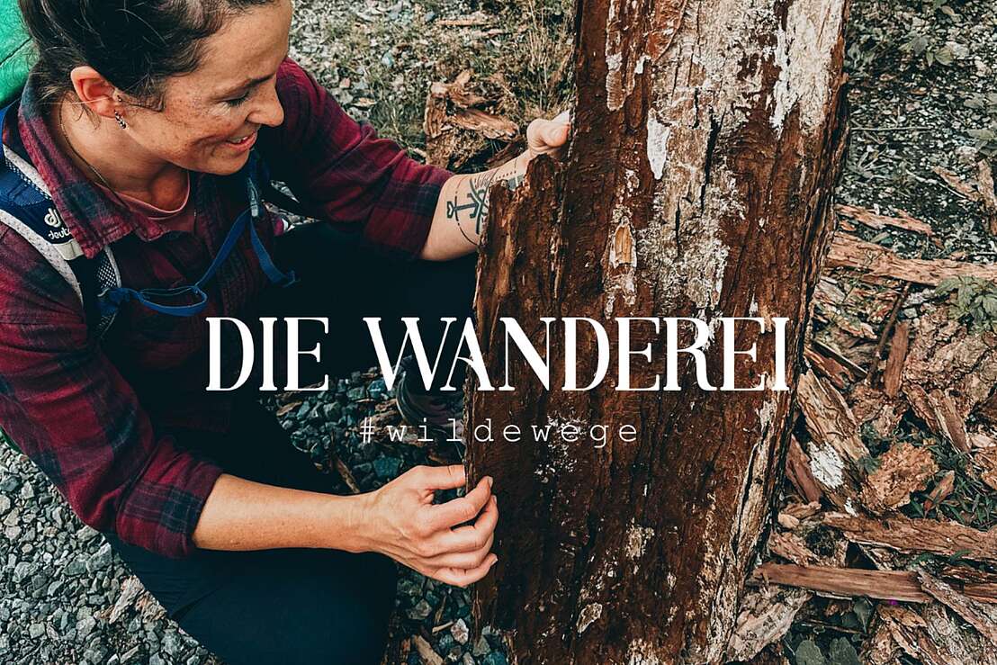 Weg der Sinne Weg der Sinne