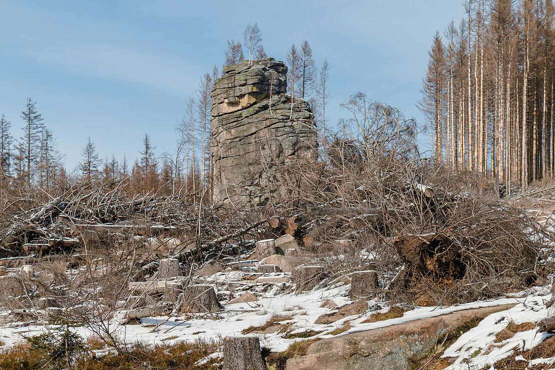 winterliche Feuersteinklippe