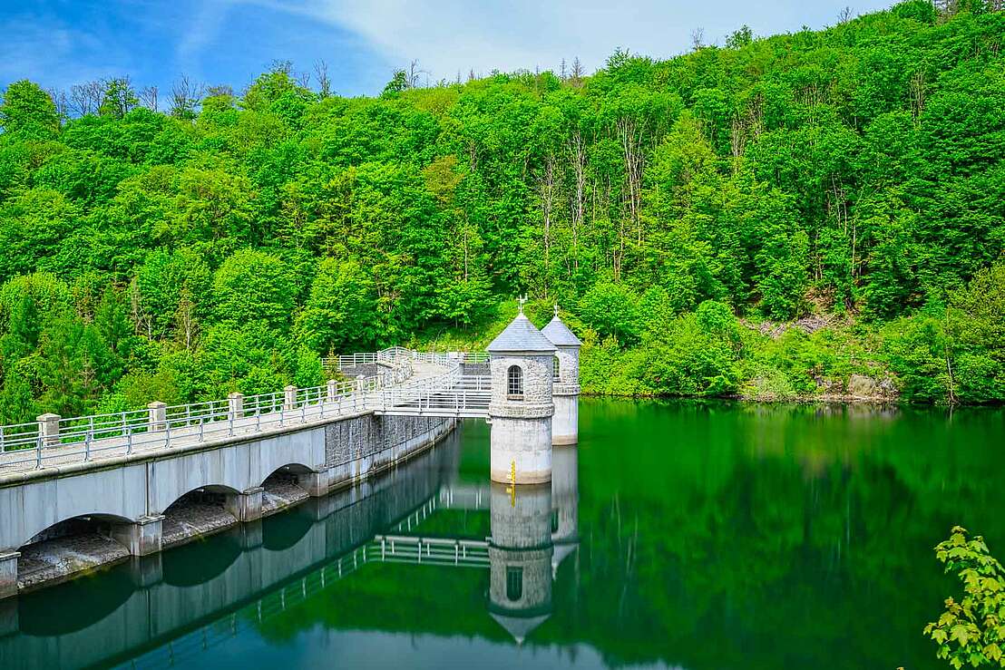 Staumauer der Talsperre Neustadt