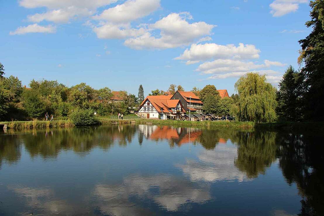 Blick über die Klosterteiche auf das Kloster Michaelstein