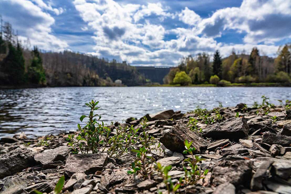 Blick über den Stausee zur Mauer der Rappbodetalsperre
