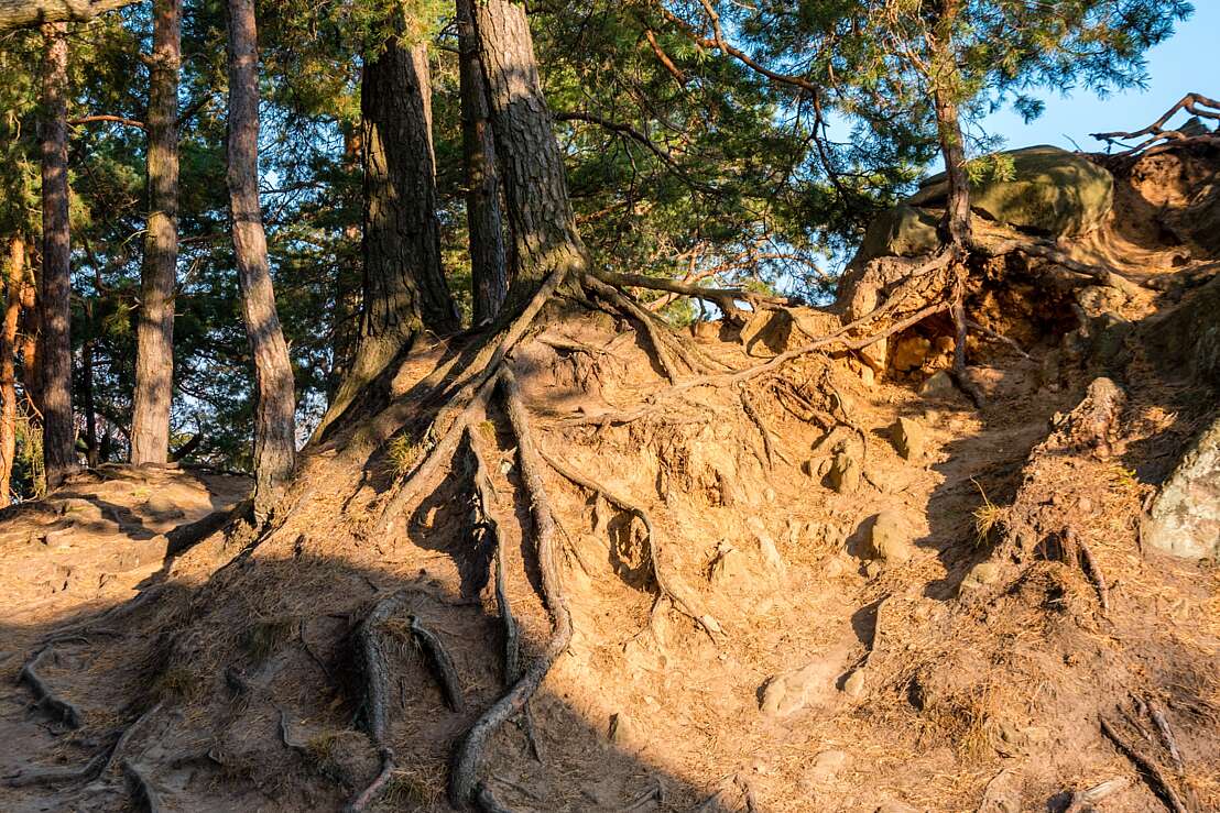 Großvaterfelsen aus der Nähe