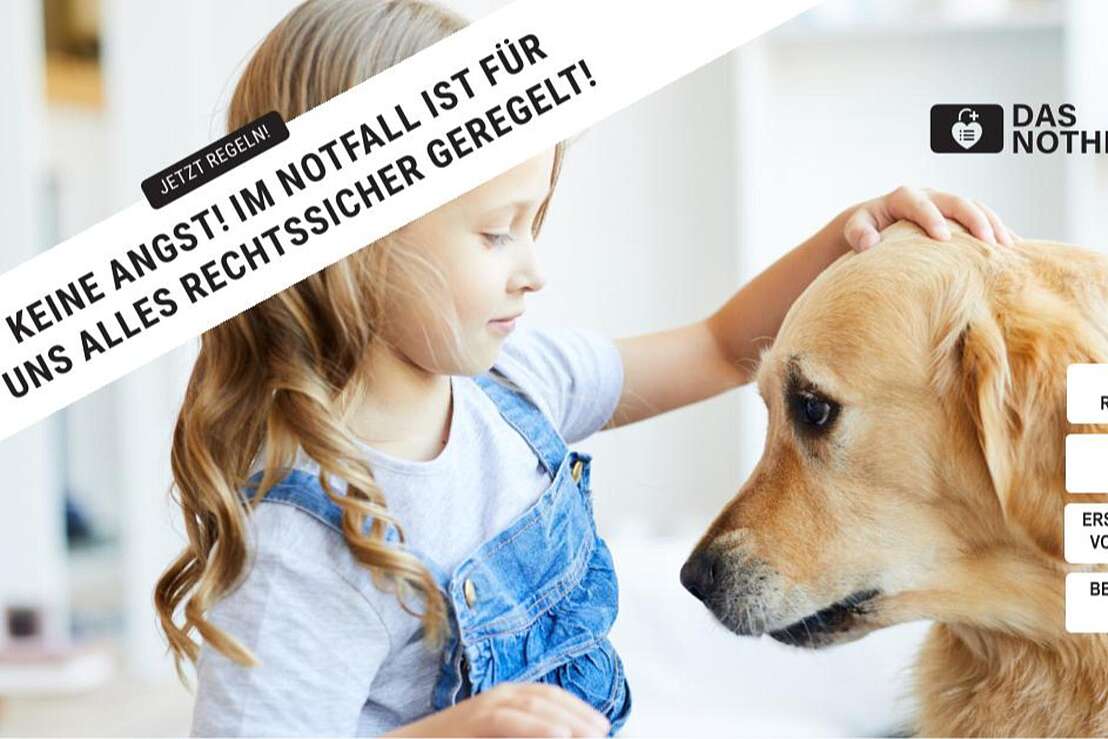 Das Nothilfesystem Das Nothilfesystem
